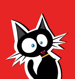 this_cat_is_quite_flashed.jpg
