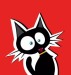 this_cat_is_quite_flashed.jpg
